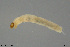  ( - EBAI-Ch279)  @11 [ ] Creative Commons  Attribution Non-Commercial Share-Alike (2021) NTNU University Museum, Department of Natural History NTNU University Museum, Department of Natural History