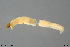  ( - EBAI-Ch283)  @11 [ ] Creative Commons  Attribution Non-Commercial Share-Alike (2021) NTNU University Museum, Department of Natural History NTNU University Museum, Department of Natural History