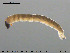  ( - EBAI-Ch042)  @12 [ ] CreativeCommons - Attribution Non-Commercial Share-Alike (2016) NTNU University Museum, Department of Natural History NTNU University Museum, Department of Natural History