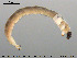  ( - EBAI-Ch043)  @12 [ ] CreativeCommons - Attribution Non-Commercial Share-Alike (2016) NTNU University Museum, Department of Natural History NTNU University Museum, Department of Natural History