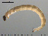  ( - EBAI-Ch047)  @12 [ ] CreativeCommons - Attribution Non-Commercial Share-Alike (2016) NTNU University Museum, Department of Natural History NTNU University Museum, Department of Natural History
