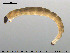  ( - EBAI-Ch049)  @12 [ ] CreativeCommons - Attribution Non-Commercial Share-Alike (2016) NTNU University Museum, Department of Natural History NTNU University Museum, Department of Natural History