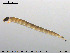  ( - EBAI-Ch055)  @12 [ ] CreativeCommons - Attribution Non-Commercial Share-Alike (2016) NTNU University Museum, Department of Natural History NTNU University Museum, Department of Natural History