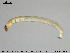  ( - EBAI-Ch068)  @12 [ ] CreativeCommons - Attribution Non-Commercial Share-Alike (2016) NTNU University Museum, Department of Natural History NTNU University Museum, Department of Natural History