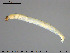  ( - EBAI-Ch069)  @12 [ ] CreativeCommons - Attribution Non-Commercial Share-Alike (2016) NTNU University Museum, Department of Natural History NTNU University Museum, Department of Natural History