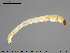  ( - EBAI-Ch070)  @12 [ ] CreativeCommons - Attribution Non-Commercial Share-Alike (2016) NTNU University Museum, Department of Natural History NTNU University Museum, Department of Natural History