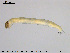  ( - EBAI-Ch072)  @12 [ ] CreativeCommons - Attribution Non-Commercial Share-Alike (2016) NTNU University Museum, Department of Natural History NTNU University Museum, Department of Natural History