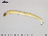  ( - EBAI-Ch073)  @12 [ ] CreativeCommons - Attribution Non-Commercial Share-Alike (2016) NTNU University Museum, Department of Natural History NTNU University Museum, Department of Natural History
