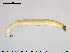  ( - EBAI-Ch074)  @12 [ ] CreativeCommons - Attribution Non-Commercial Share-Alike (2016) NTNU University Museum, Department of Natural History NTNU University Museum, Department of Natural History