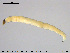 ( - EBAI-Ch075)  @12 [ ] CreativeCommons - Attribution Non-Commercial Share-Alike (2016) NTNU University Museum, Department of Natural History NTNU University Museum, Department of Natural History