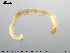  ( - EBAI-Ch008)  @12 [ ] CreativeCommons - Attribution Non-Commercial Share-Alike (2016) NTNU University Museum, Department of Natural History NTNU University Museum, Department of Natural History