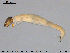  ( - EBAI-Ch089)  @13 [ ] CreativeCommons - Attribution Non-Commercial Share-Alike (2016) NTNU University Museum, Department of Natural History NTNU University Museum, Department of Natural History