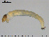  ( - EBAI-Ch090)  @12 [ ] CreativeCommons - Attribution Non-Commercial Share-Alike (2016) NTNU University Museum, Department of Natural History NTNU University Museum, Department of Natural History