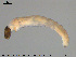  ( - EBAI-Ch093)  @12 [ ] CreativeCommons - Attribution Non-Commercial Share-Alike (2016) NTNU University Museum, Department of Natural History NTNU University Museum, Department of Natural History