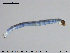  ( - EBAI-Ch096)  @11 [ ] CreativeCommons - Attribution Non-Commercial Share-Alike (2016) NTNU University Museum, Department of Natural History NTNU University Museum, Department of Natural History