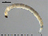  ( - EBAI-Ch097)  @11 [ ] CreativeCommons - Attribution Non-Commercial Share-Alike (2016) NTNU University Museum, Department of Natural History NTNU University Museum, Department of Natural History