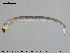  ( - EBAI-Ch098)  @11 [ ] CreativeCommons - Attribution Non-Commercial Share-Alike (2016) NTNU University Museum, Department of Natural History NTNU University Museum, Department of Natural History