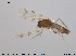  ( - EBAI-Dip001)  @12 [ ] CreativeCommons - Attribution Non-Commercial Share-Alike (2016) NTNU University Museum, Department of Natural History NTNU University Museum, Department of Natural History