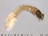  ( - EBAI-Dip004)  @12 [ ] CreativeCommons - Attribution Non-Commercial Share-Alike (2016) NTNU University Museum, Department of Natural History NTNU University Museum, Department of Natural History