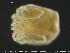  ( - EBAI-Hyd16)  @11 [ ] Creative Commons  Attribution Non-Commercial Share-Alike (2016) NTNU University Museum, Department of Natural History NTNU University Museum, Department of Natural History