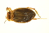  ( - BIOUG01003-C07)  @13 [ ] CreativeCommons - Attribution (2010) CBG Photography Group Centre for Biodiversity Genomics