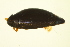  ( - BIOUG01003-F05)  @13 [ ] CreativeCommons - Attribution (2010) CBG Photography Group Centre for Biodiversity Genomics