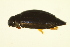  ( - BIOUG01003-G04)  @13 [ ] CreativeCommons - Attribution (2010) CBG Photography Group Centre for Biodiversity Genomics