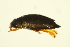  ( - BIOUG01003-G06)  @13 [ ] CreativeCommons - Attribution (2010) CBG Photography Group Centre for Biodiversity Genomics