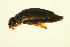  ( - BIOUG01003-H01)  @13 [ ] CreativeCommons - Attribution (2010) CBG Photography Group Centre for Biodiversity Genomics