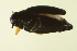  ( - BIOUG01005-A01)  @13 [ ] CreativeCommons - Attribution (2010) CBG Photography Group Centre for Biodiversity Genomics