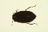  ( - BIOUG01005-E03)  @12 [ ] CreativeCommons - Attribution (2010) CBG Photography Group Centre for Biodiversity Genomics