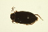  ( - BIOUG01005-H05)  @12 [ ] CreativeCommons - Attribution (2010) CBG Photography Group Centre for Biodiversity Genomics