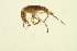  ( - BIOUG01312-D12)  @12 [ ] CreativeCommons - Attribution (2010) CBG Photography Group Centre for Biodiversity Genomics