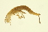  ( - BIOUG01314-A05)  @12 [ ] CreativeCommons - Attribution (2010) CBG Photography Group Centre for Biodiversity Genomics