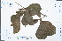  ( - Ge02404)  @11 [ ] CreativeCommons  Attribution Non-Commercial Share-Alike  Unspecified Herbarium of South China Botanical Garden