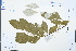  ( - Ge03350)  @11 [ ] CreativeCommons  Attribution Non-Commercial Share-Alike  Unspecified Herbarium of South China Botanical Garden