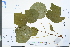  ( - Ge03995)  @11 [ ] CreativeCommons  Attribution Non-Commercial Share-Alike  Unspecified Herbarium of South China Botanical Garden