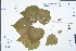  ( - Ge04399)  @11 [ ] CreativeCommons  Attribution Non-Commercial Share-Alike  Unspecified Herbarium of South China Botanical Garden