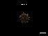  ( - LMBSCt16-001)  @11 [ ] Unspecified (default): All Rights Reserved  Unspecified Unspecified