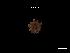  ( - LMBSCt16-001)  @11 [ ] Unspecified (default): All Rights Reserved  Unspecified Unspecified