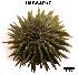  ( - LMBSAP32-001)  @11 [ ] Unspecified (default): All Rights Reserved  Unspecified Unspecified
