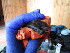  ( - MM011217GSF_NC6)  @11 [ ] by-sa - CreativeCommons - Attribution Share-Alike (2023) Monika Moir Stellenbosch University
