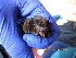  ( - MM011217GSF_NC9)  @11 [ ] by-sa - CreativeCommons - Attribution Share-Alike (2023) Monika Moir Stellenbosch University