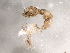  ( - Cbref-044)  @12 [ ] CreativeCommons - Attribution (2009) Unspecified Centre for Biodiversity Genomics