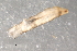  ( - Cbref-198)  @12 [ ] CreativeCommons - Attribution (2009) Unspecified Centre for Biodiversity Genomics