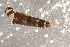  ( - Cbref-232)  @12 [ ] CreativeCommons - Attribution (2009) Unspecified Centre for Biodiversity Genomics