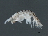  ( - 09BBCRU-0041)  @13 [ ] CreativeCommons - Attribution (2010) Unspecified Centre for Biodiversity Genomics
