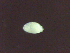  ( - Diplo.sp.RH_Nm11_IPA.Specimen1_109-63.1)  @12 [ ] Unspecified (default): All Rights Reserved  Unspecified Unspecified