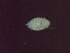  ( - Diplo.sp.RH_Nm16_IPA.Specimen6_109-64.6)  @12 [ ] Unspecified (default): All Rights Reserved  Unspecified Unspecified