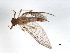  ( - 10BGMAY-060)  @12 [ ] CreativeCommons - Attribution (2010) Unspecified Centre for Biodiversity Genomics